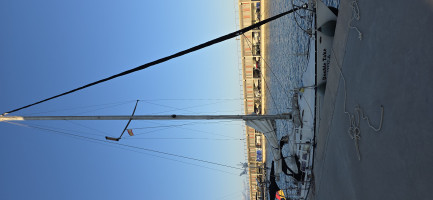 Image 1 de 1