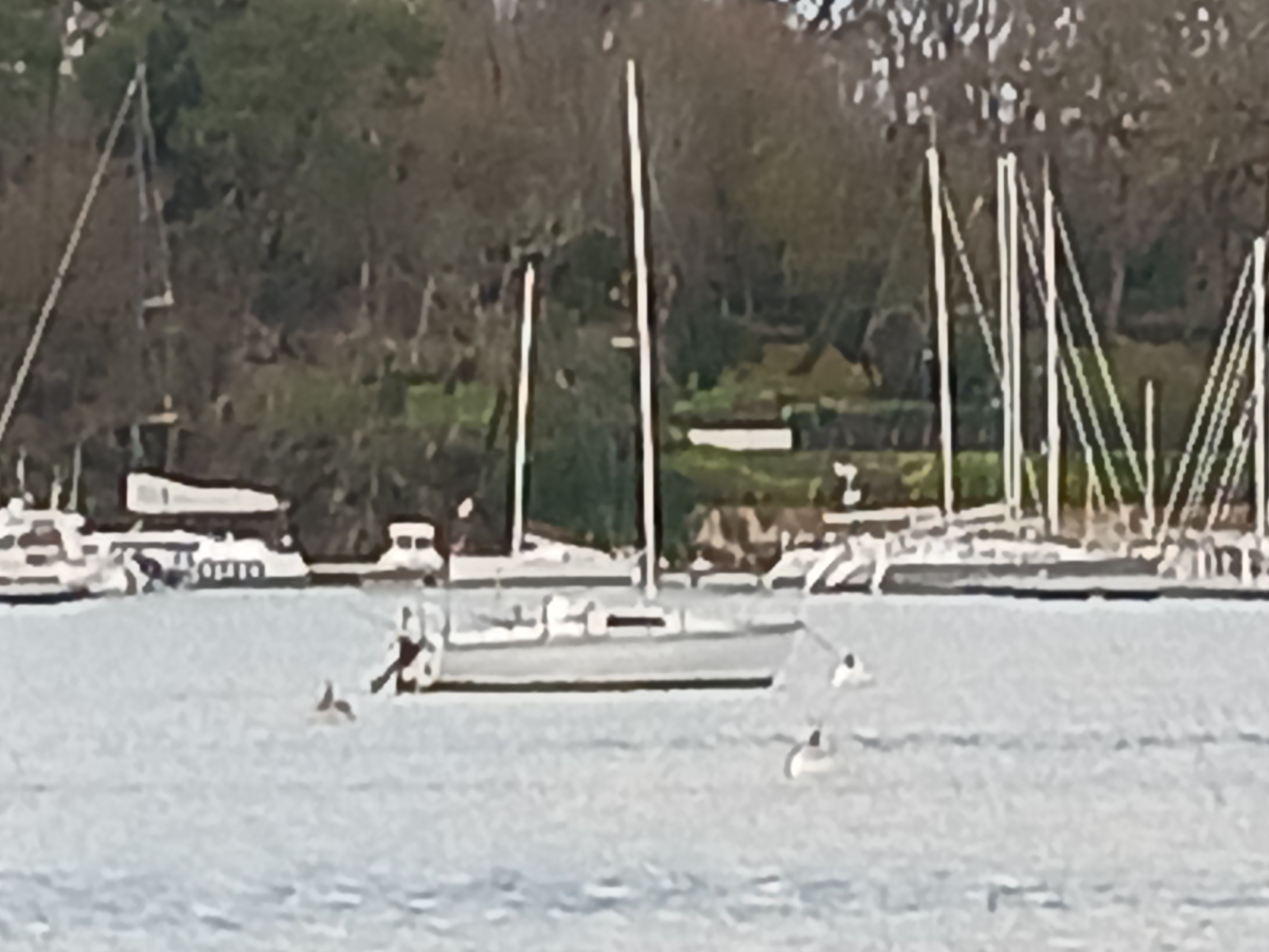 Image 1 de 6
