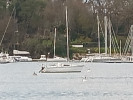 Image 1 de 6